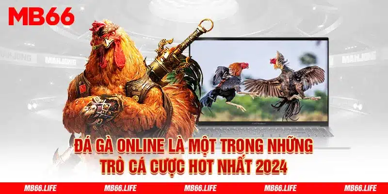 Đá gà online là một trong số trò chơi cá cược hấp dẫn 2024