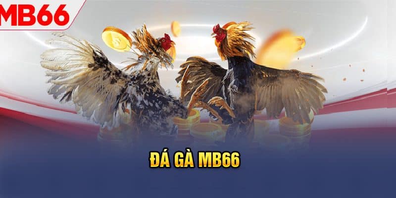 Ảnh Đá gà MB66